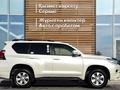 Toyota Land Cruiser Prado Comfort 2020 года за 21 500 000 тг. в Шымкент – фото 17
