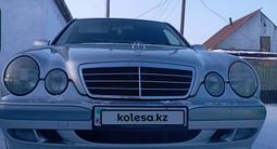 Mercedes-Benz C 240 2000 годаүшін6 000 000 тг. в Семей – фото 3