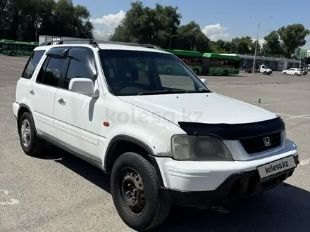 Honda CR-V 1998 года за 2 850 000 тг. в Алматы – фото 3