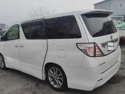 Toyota Alphard 2010 года за 7 000 000 тг. в Алматы – фото 27