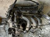 Двигатель Форд Фокус 2 за 230 000 тг. в Астана