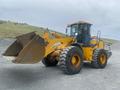 XCMG  XCMG LW500F 2011 года за 11 000 000 тг. в Талдыкорган – фото 2