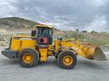 XCMG  XCMG LW500F 2011 года за 11 000 000 тг. в Талдыкорган – фото 5