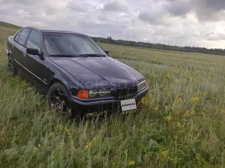 BMW 320 1995 года за 2 750 000 тг. в Кокшетау – фото 14