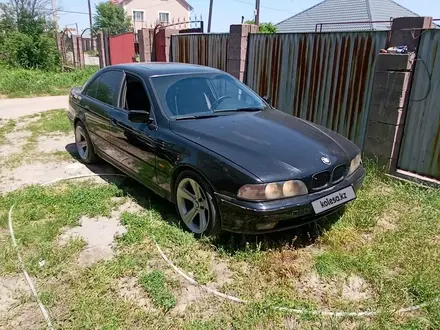 BMW 523 1996 года за 2 500 000 тг. в Алматы – фото 4