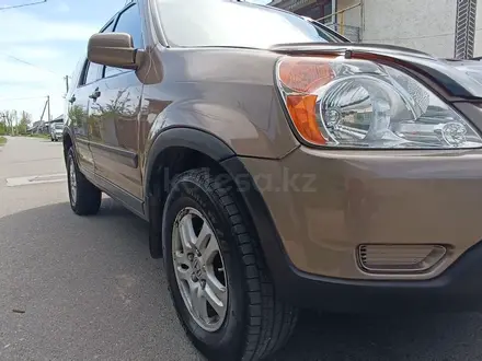 Honda CR-V 2002 годаүшін4 700 000 тг. в Талдыкорган – фото 7