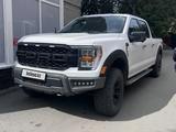 Ford F-Series 2021 годаүшін35 000 000 тг. в Семей