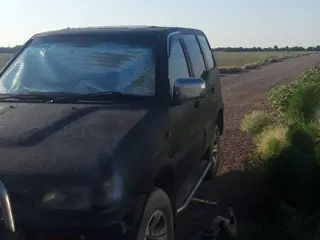 Nissan Mistral