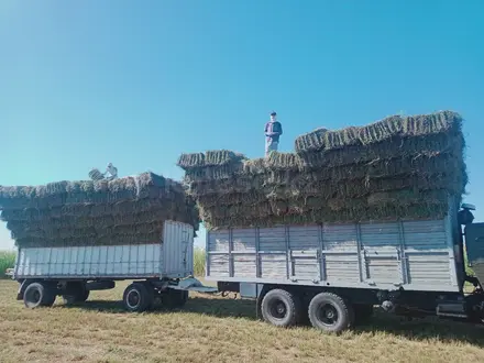 КамАЗ  5320 1984 года за 4 000 000 тг. в Жанакорган – фото 4