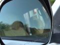 Toyota Land Cruiser Prado 2005 годаүшін9 500 000 тг. в Актау – фото 4