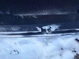 Крышка багажника Шкода суперб за 50 000 тг. в Кокшетау – фото 4