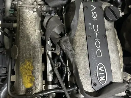 T8, TB, BF двигатель 1.5, 1.8, 1.6 Kia Sephia, Kia Mentor, Carens, Avella за 299 000 тг. в Алматы