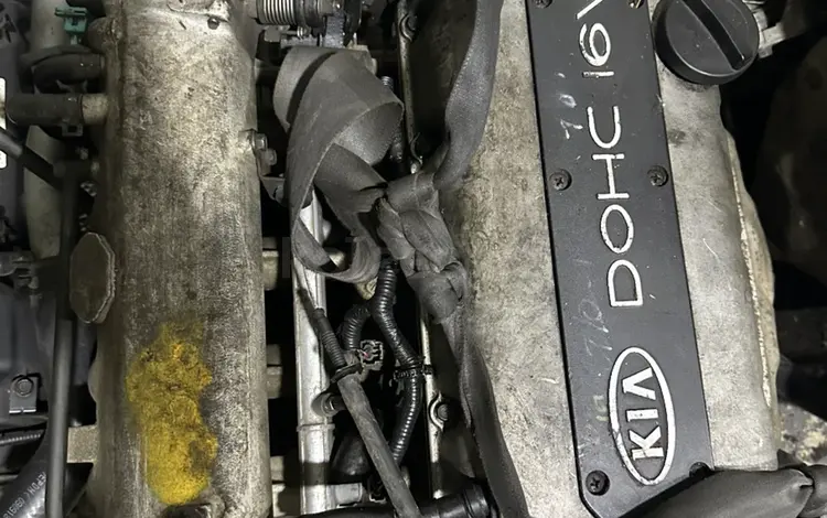 T8, TB, BF двигатель 1.5, 1.8, 1.6 Kia Sephia, Kia Mentor, Carens, Avella за 299 000 тг. в Алматы