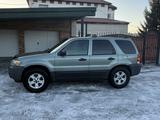 Ford Escape 2004 года за 3 950 000 тг. в Усть-Каменогорск