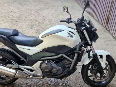 Honda  NC 700S 2012 года за 2 400 000 тг. в Алматы – фото 4