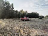 Ford Focus 2007 года за 1 500 000 тг. в Семей – фото 4