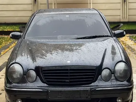 Mercedes-Benz E 55 AMG 2001 года за 5 500 000 тг. в Шымкент – фото 6