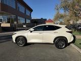 Lexus NX 250 2024 года за 25 000 000 тг. в Атырау – фото 3
