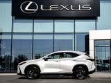 Lexus NX 250 Premium 2025 года за 34 690 000 тг. в Шымкент – фото 3