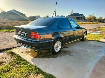 BMW 520 1997 года за 2 500 000 тг. в Шымкент