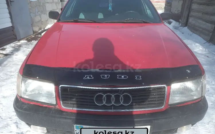 Audi 100 1992 года за 1 100 000 тг. в Жанаарка