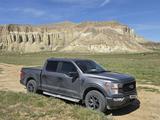 Ford F-Series 2022 года за 24 000 000 тг. в Актау