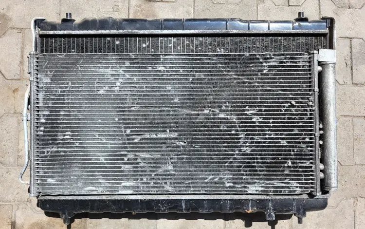 Радиатор охлаждения сантафе 2.0 дизель.үшін55 000 тг. в Шымкент