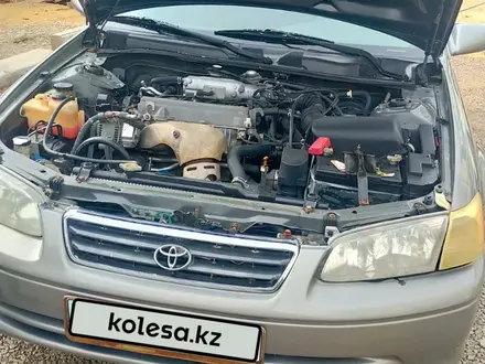 Toyota Camry 2001 года за 3 800 000 тг. в Жезказган – фото 4