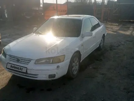 Toyota Camry 1998 года за 2 500 000 тг. в Алматы