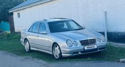 Mercedes-Benz E 55 AMG 2000 годаfor6 000 000 тг. в Алматы