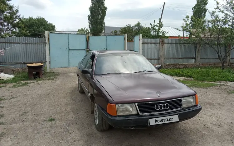 Audi 100 1991 года за 1 350 000 тг. в Кулан