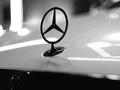 Mercedes-Benz S 500 2014 годаүшін31 000 000 тг. в Алматы – фото 31