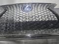 Бамер, решетка, юбка, накладка для LEXUS RX за 500 тг. в Алматы – фото 2