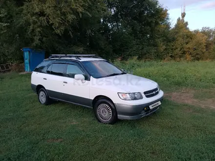 Nissan R'nessa 1998 года за 2 800 000 тг. в Сарканд – фото 7