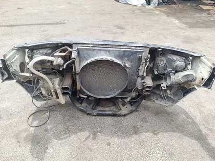 Морда носкат за 200 000 тг. в Алматы – фото 2