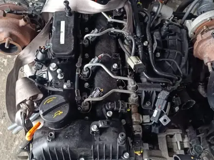 Двигатель D4HB 2.2 дизель Kia Hyundai за 650 000 тг. в Алматы – фото 4