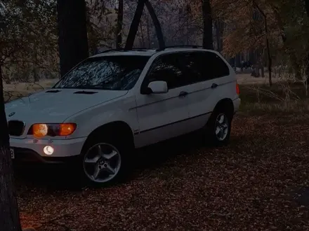 BMW X5 2001 года за 6 500 000 тг. в Тараз – фото 4