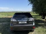Lexus RX 350 2011 года за 11 500 000 тг. в Шымкент – фото 4