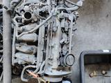 Двигатель Поло 1.4 BKY за 2 024 тг. в Шымкент – фото 3