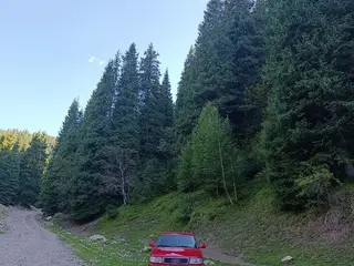 Audi 100
