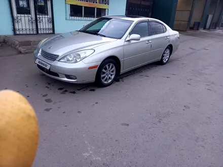 Lexus ES 300 2002 года за 5 800 000 тг. в Мерке