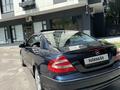 Mercedes-Benz CLK 240 2003 года за 5 000 000 тг. в Алматы – фото 10