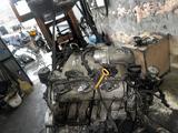 Двигатель Volkswagen транспортёр т4 объем 2.8 за 2 453 тг. в Алматы – фото 2