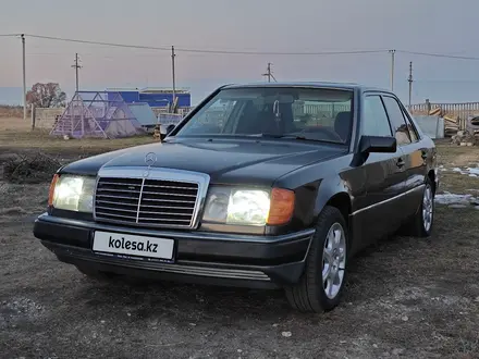 Mercedes-Benz E 230 1990 года за 1 427 982 тг. в Тайынша – фото 15