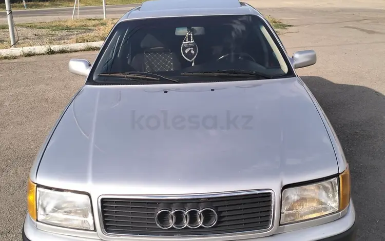 Audi 100 1993 годаүшін2 800 000 тг. в Есик