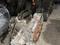 АКПП Toyota Camry A140E A140L SXV20 5S FE за 260 000 тг. в Семей
