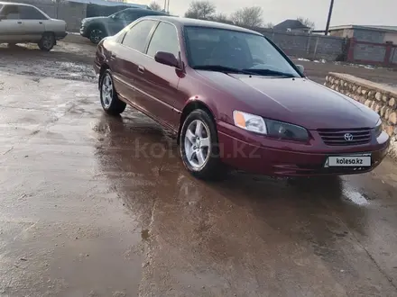 Toyota Camry 1998 года за 3 700 000 тг. в Мерке