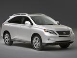 Ремонт диагностика двигателя ЛЕКСУС — LEXUS RX450 RX400 RX350 RX330 RX300 в Алматы