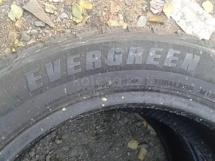 Шины 205/55 R16 — "Evergreen Winter EW62" (Китай), всесезонные, вүшін65 000 тг. в Астана – фото 8