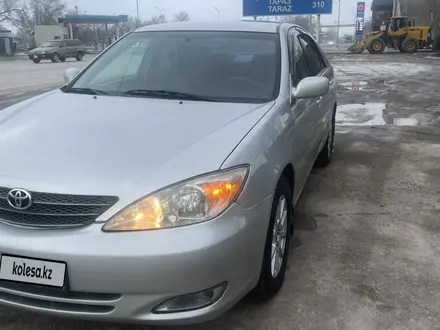 Toyota Camry 2002 года за 5 700 000 тг. в Кордай – фото 13